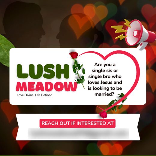 Lush Meadow campaign flyer for Christian singles seeking marriage